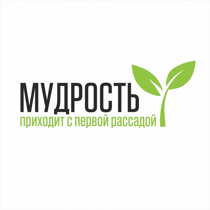 Футболка Мудрость