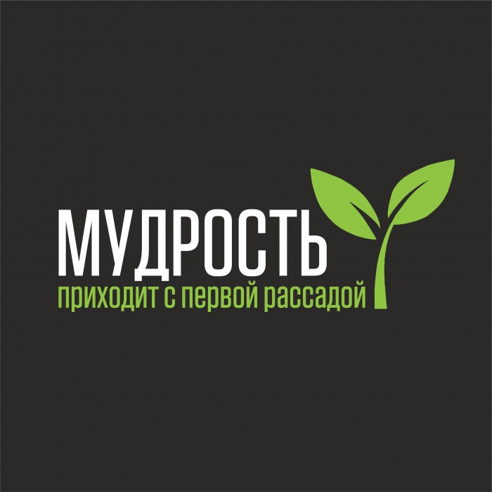 Футболка Мудрость